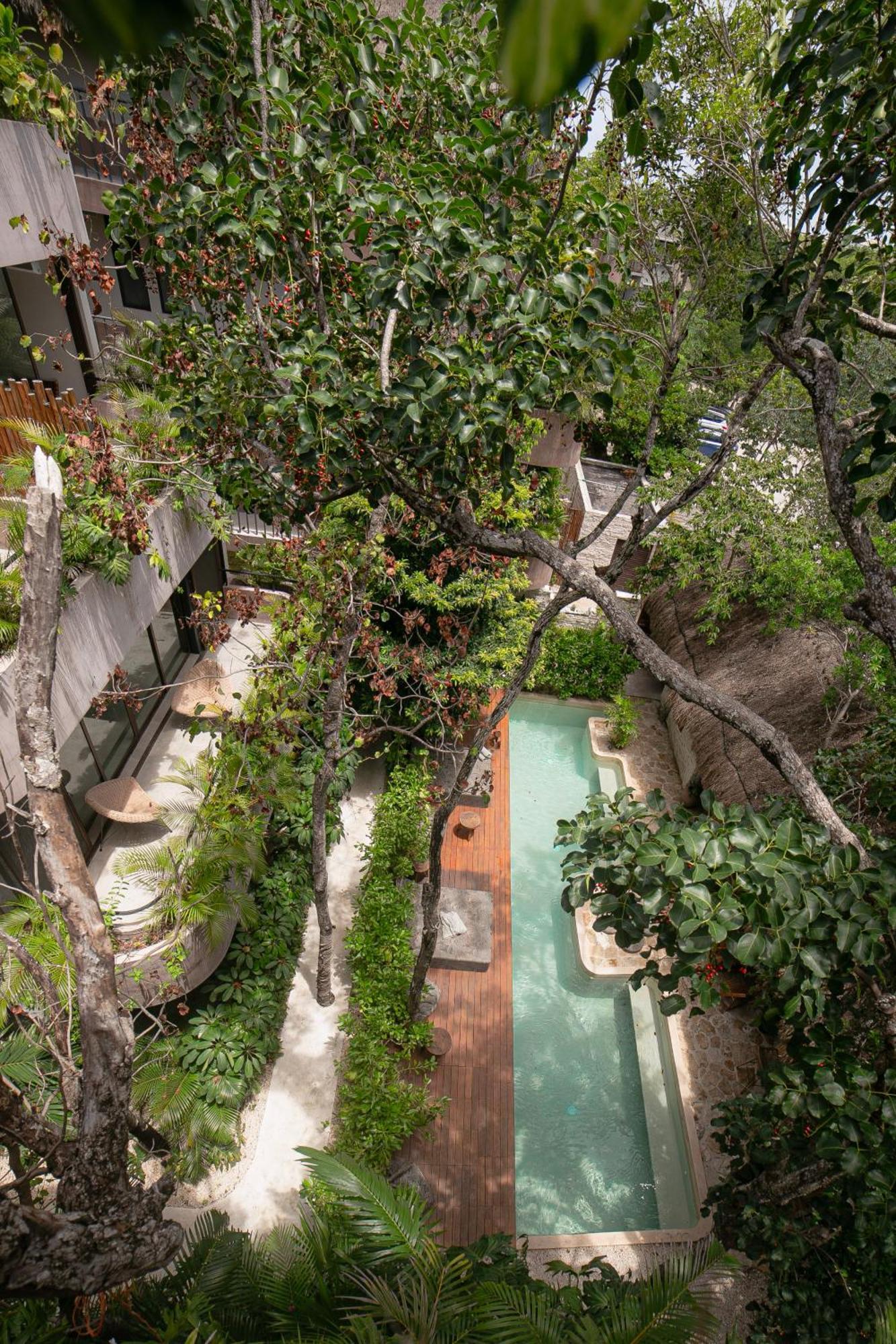 Zereno Tulum Beach Club Access Exteriör bild